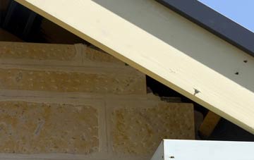 soffit repair Forward Green