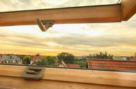 rated Forward Green roof window companies